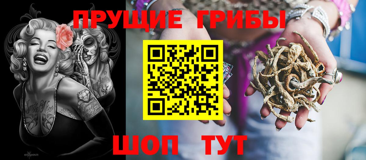 Псилоцибиновые грибы ЛСД Сургут